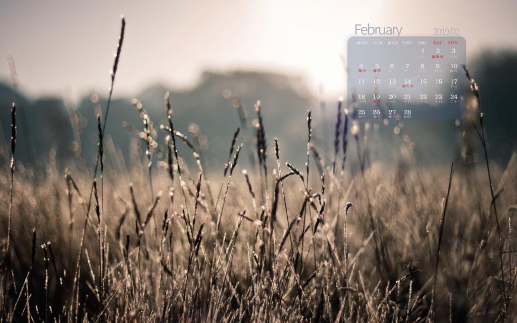 2019年2月柔和散景拍摄写真日历