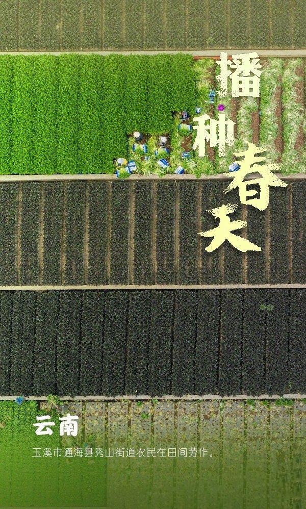 播种春天也是播种希望