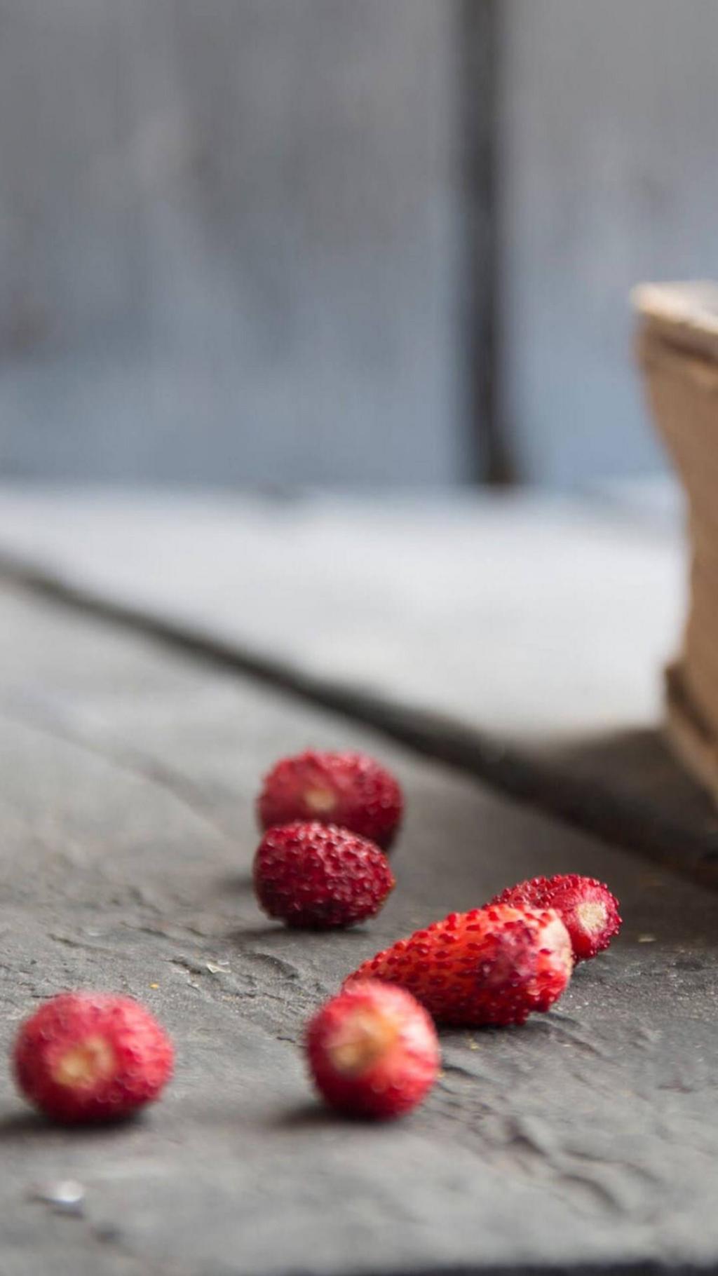 爱与远方小清新静物