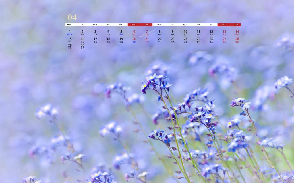 2019年4月美得让人流连忘返的风景日历