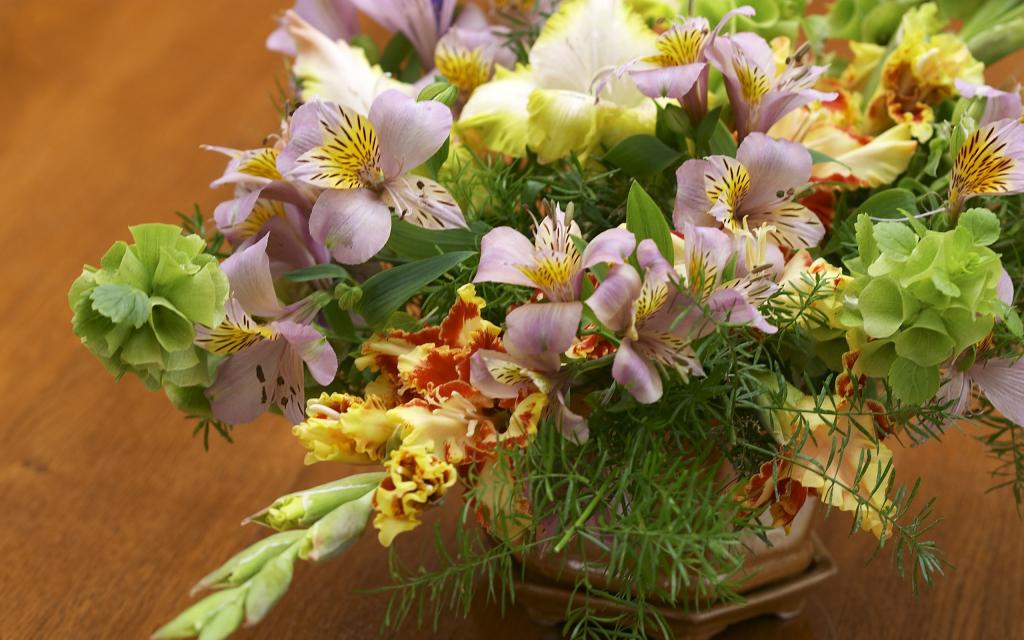 超大唯美鲜花特写