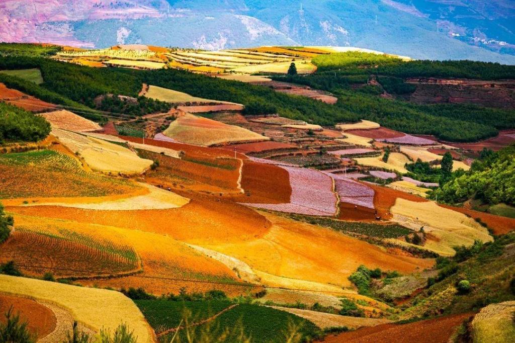 云南省的东川红土地优美自然风光迷人写真