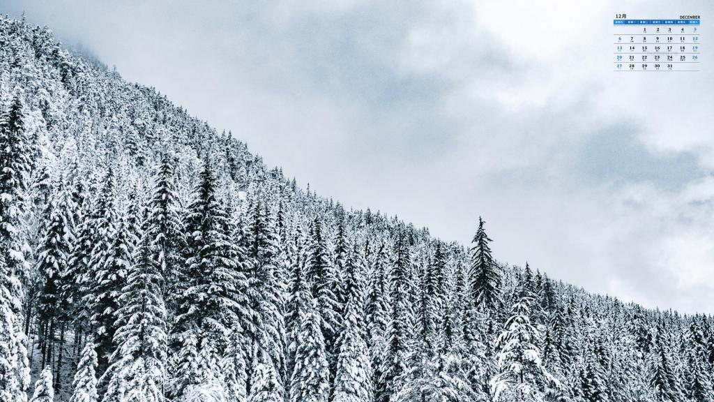 2020年12月冬天雪景日历
