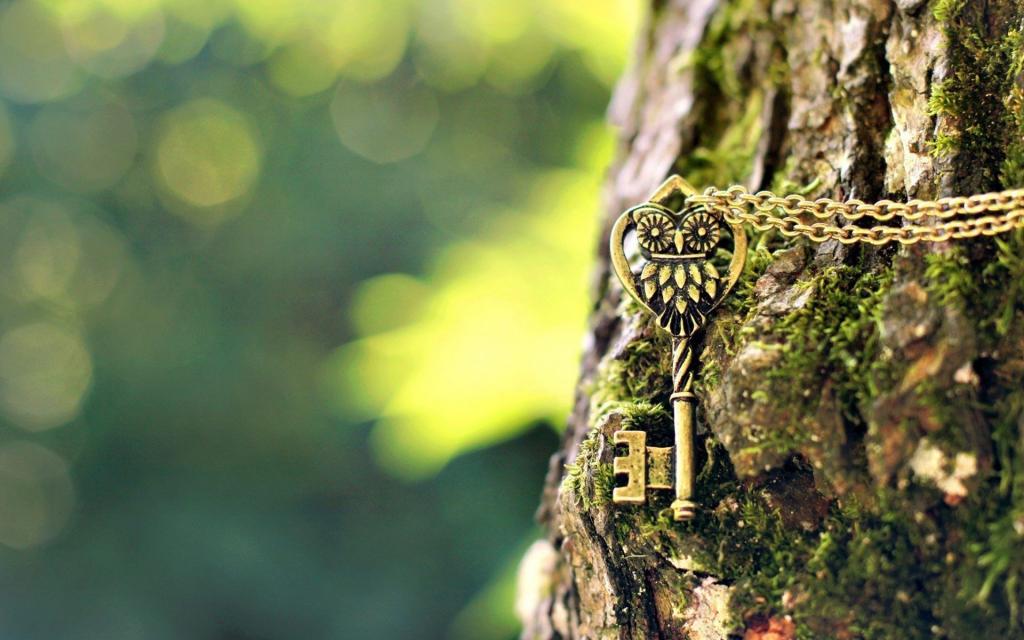 钥匙代表你的心