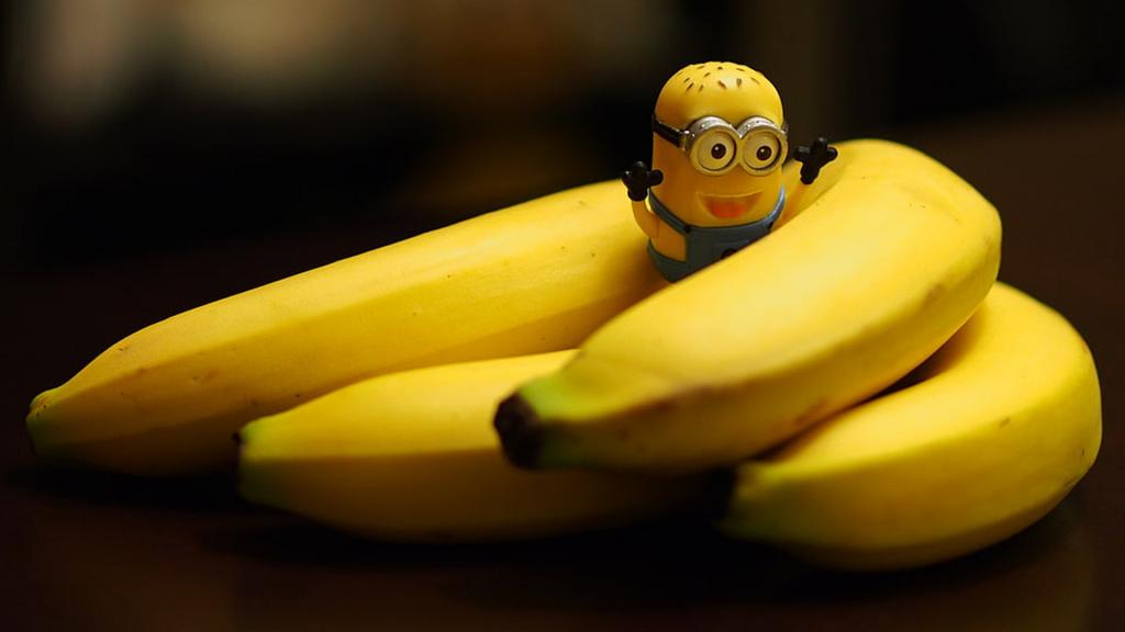 它有一件美丽的“外衣”