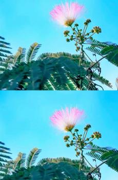 相遇小清新风景拼接图-3