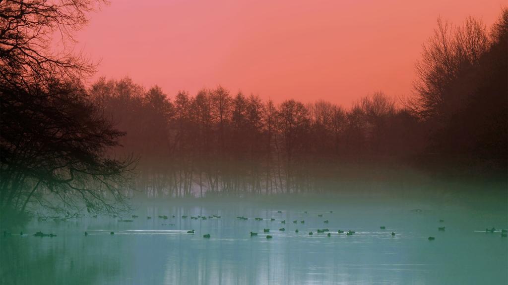 非常好看的自然风景