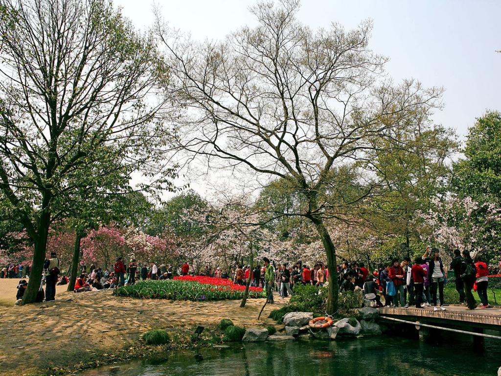 太子湾公园风光