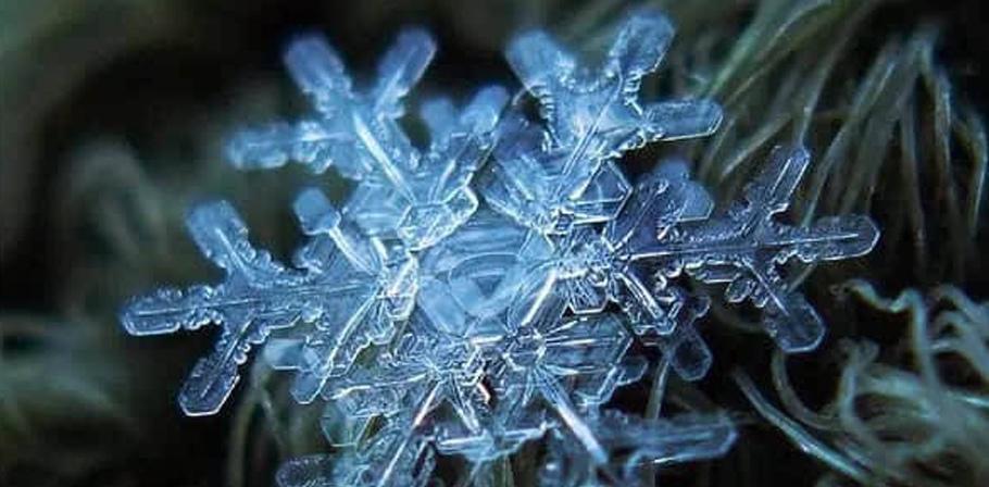 冬季里晶莹剔透的唯美雪花写真