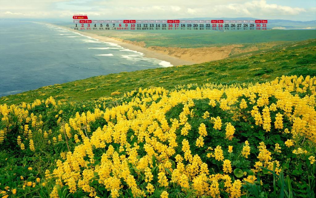 2019年3月春天的自然风光日历