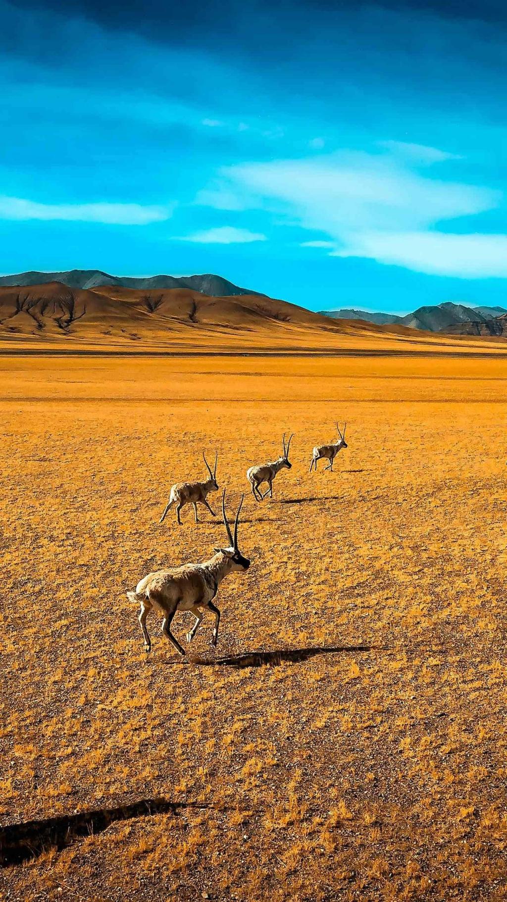 唯美城市自然风光