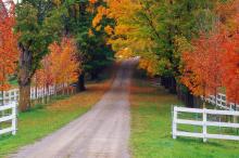 风景图片精选篇