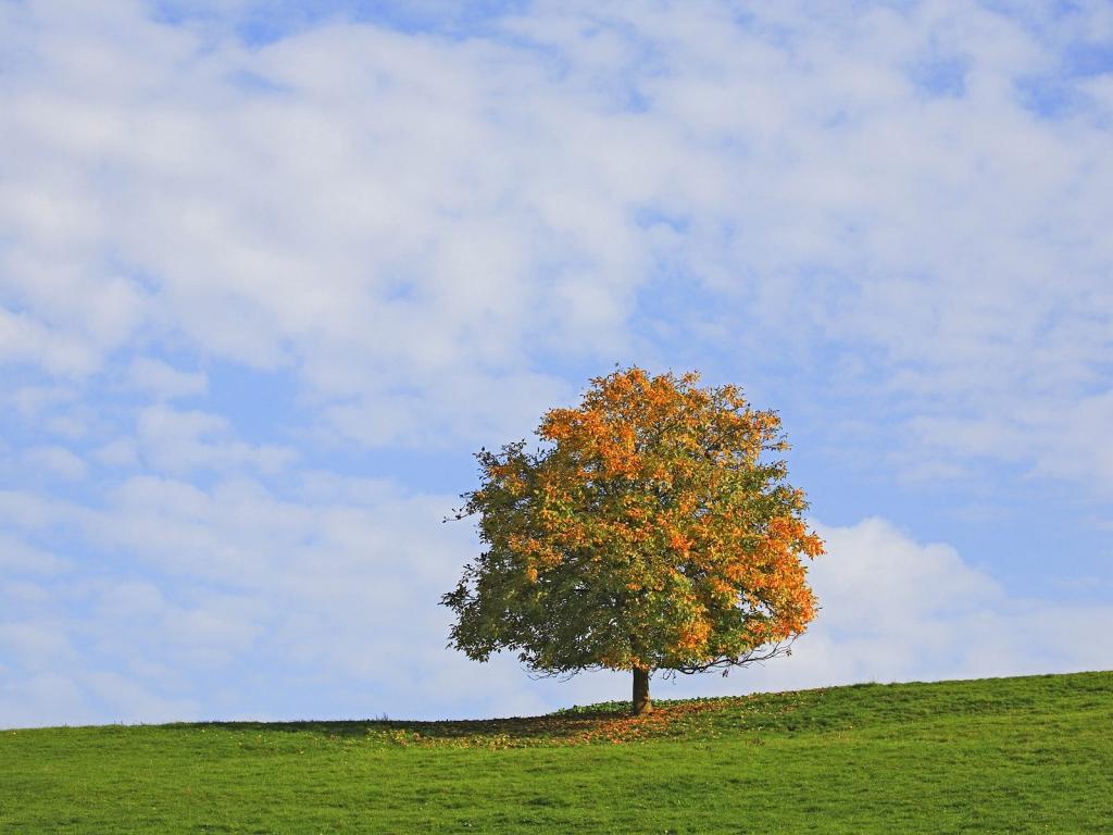 山光明媚，水色秀丽