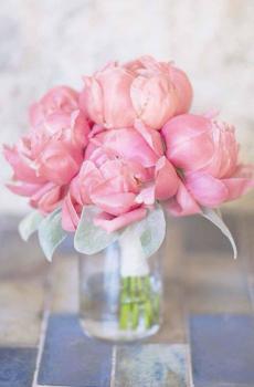 清新淡雅植物花卉图片-3