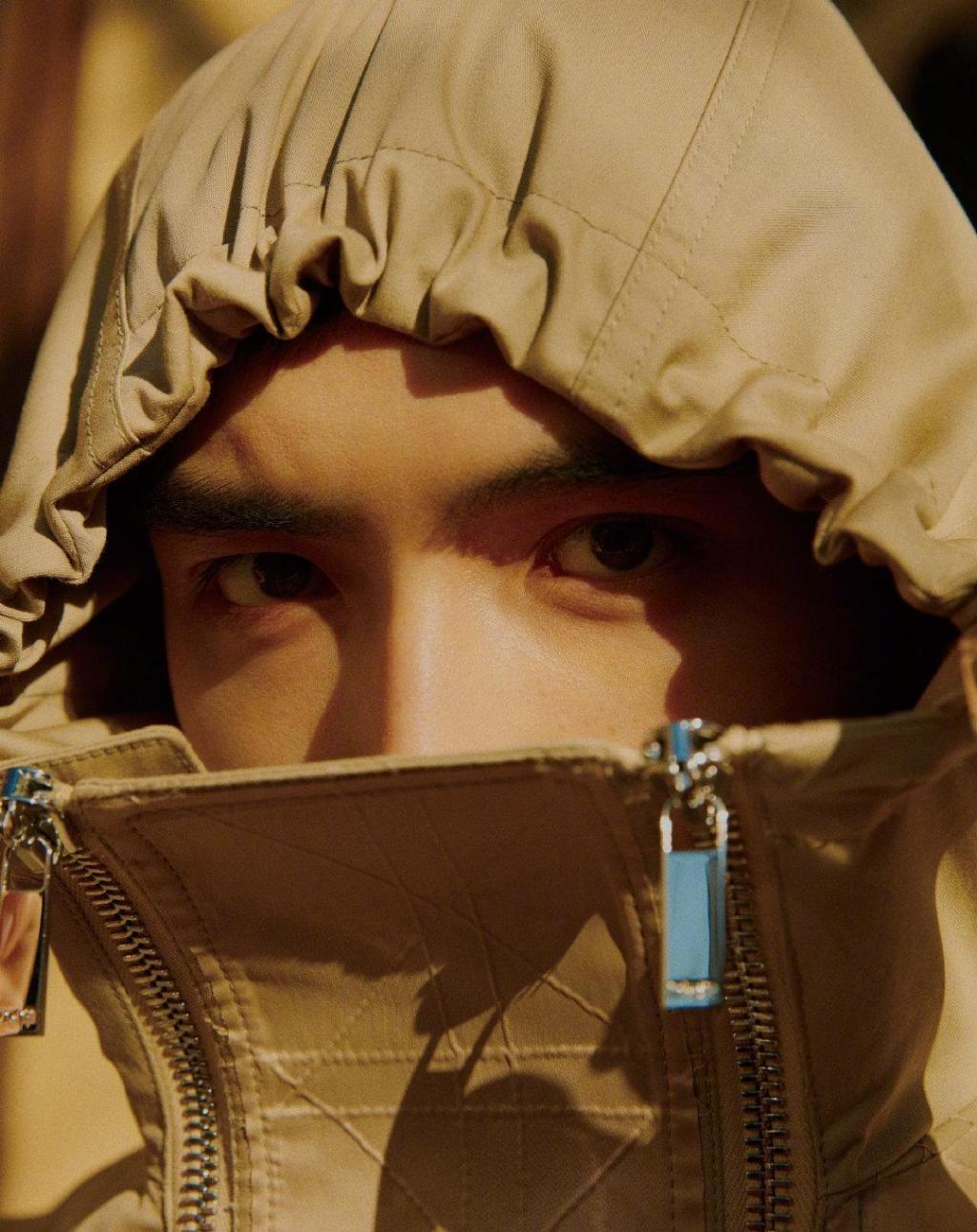 陈飞宇温柔静谧写真