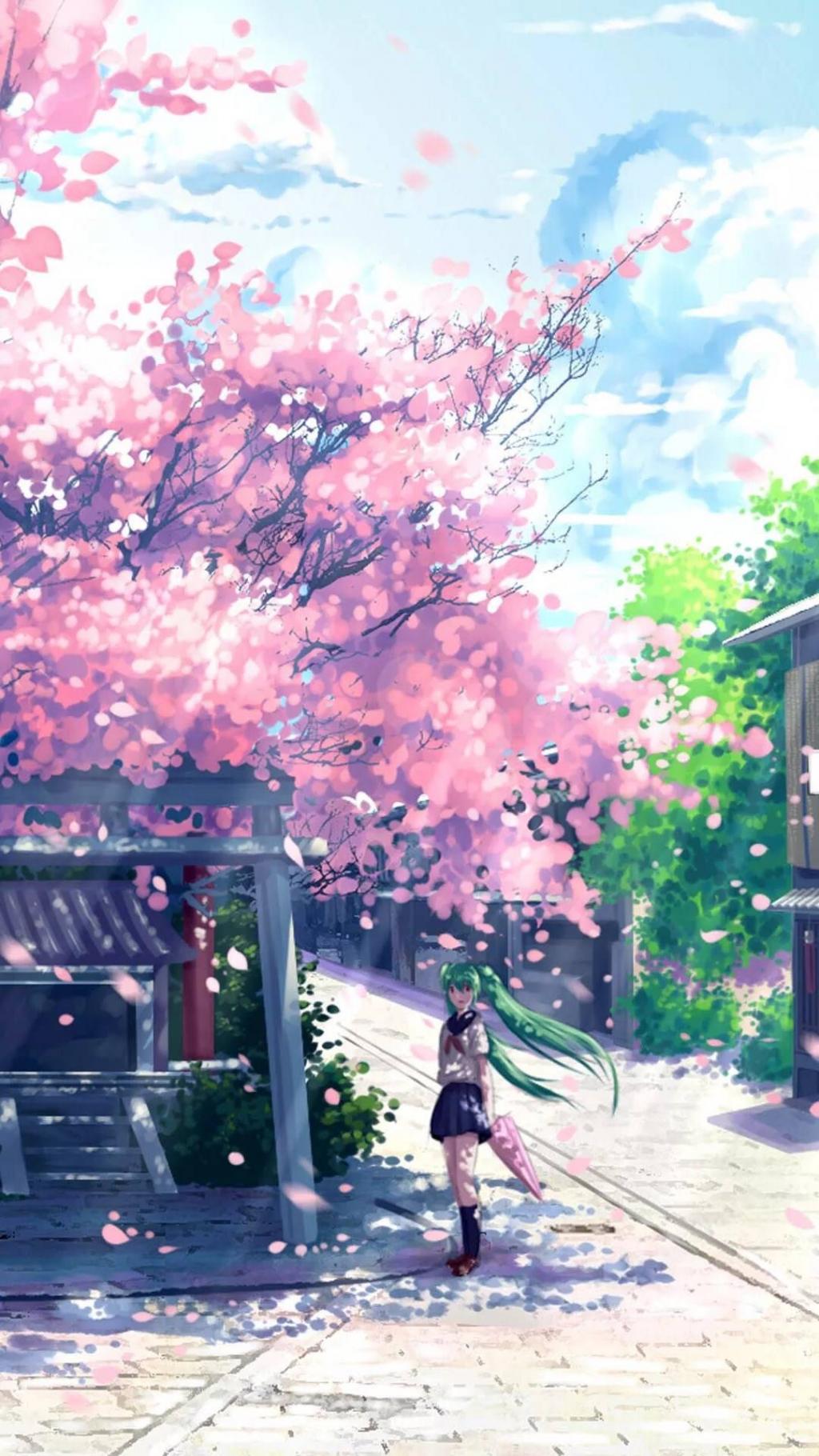 樱花盛开的季节