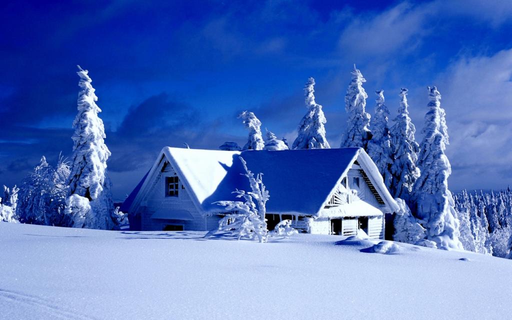 银装素裹的美丽雪景