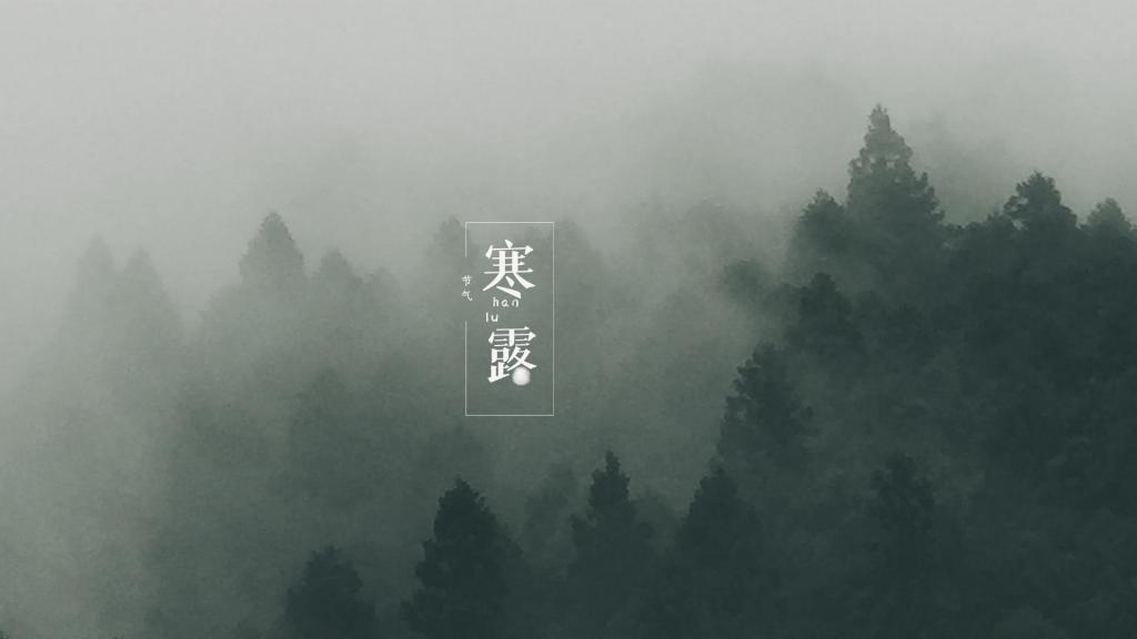 寒露时节优美森林风景