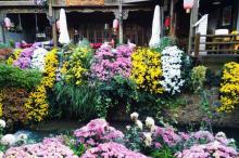 十一月丽江古城