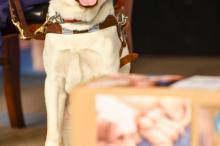 《小Q》最新剧照