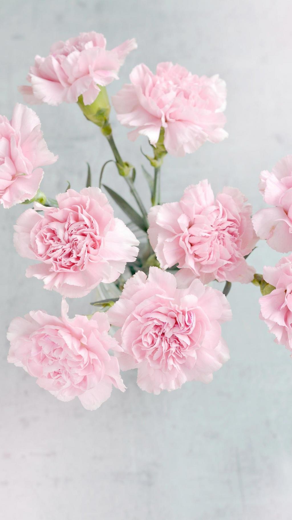 小清新唯美小花儿