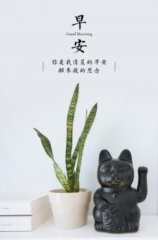 创意早安主题系列-5