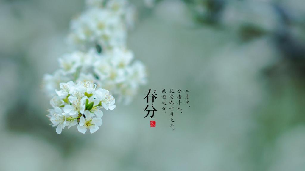 美丽的春分时节到来