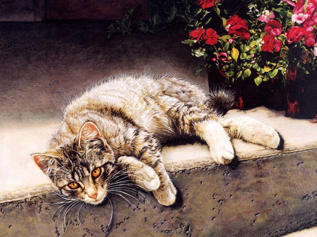 手绘爬窗猫咪