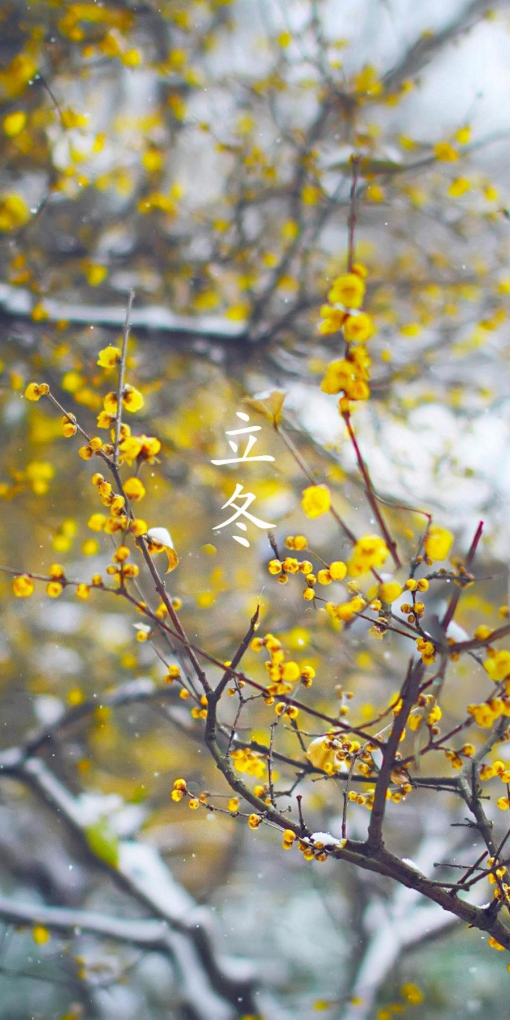 立冬,宜安静下来