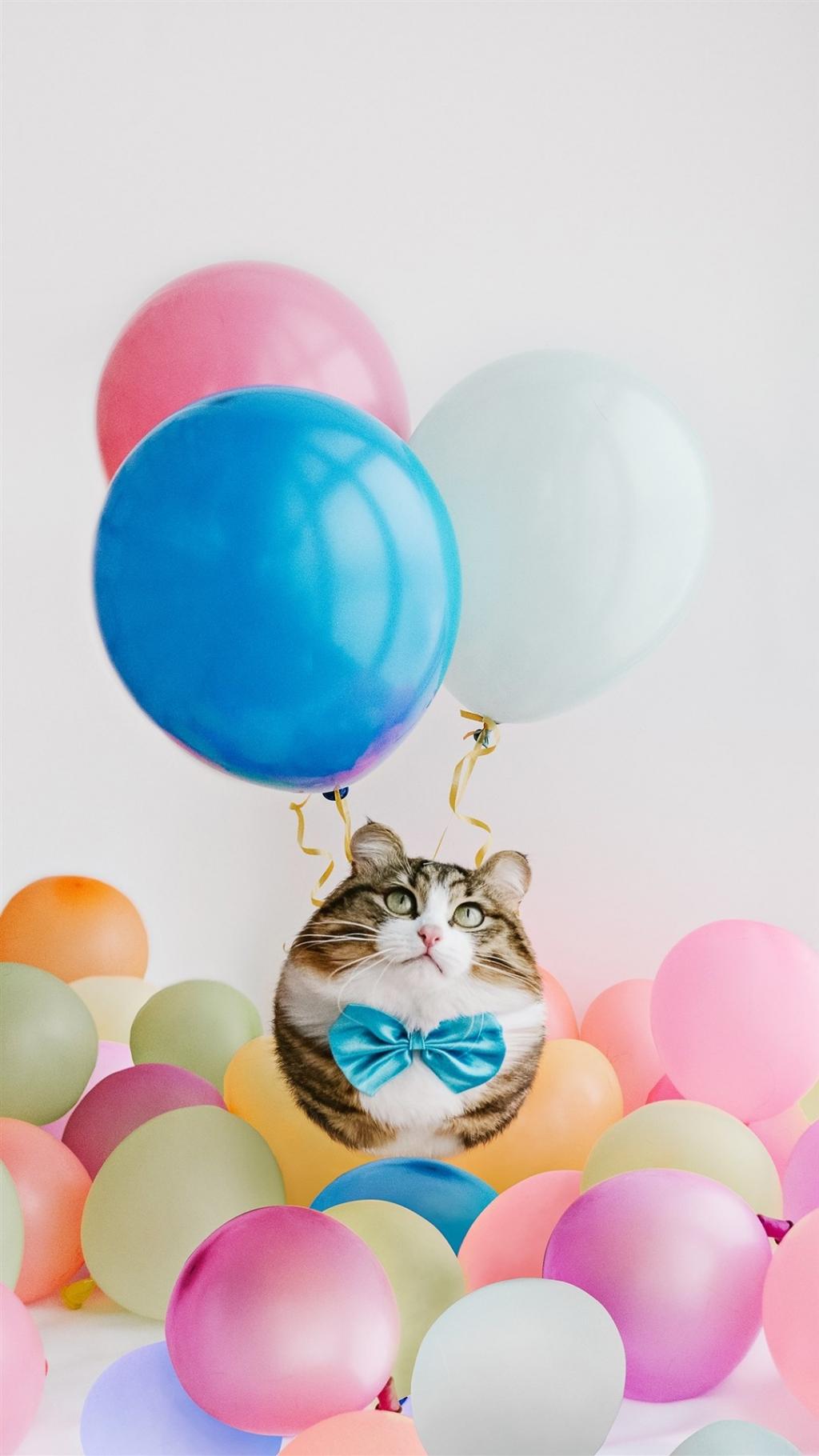 地球上的动物全都胖成了球