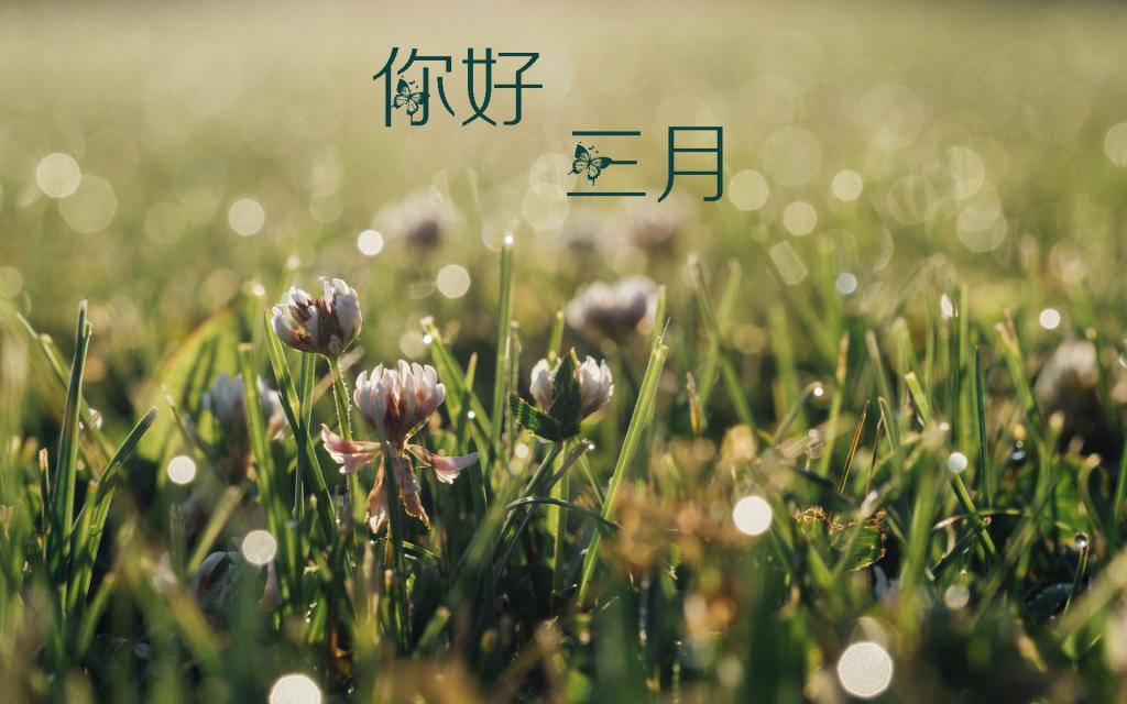 令人陶醉的三月你好