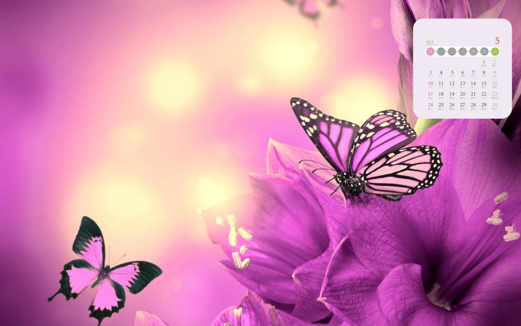 2020年5月春日里的蝴蝶日历