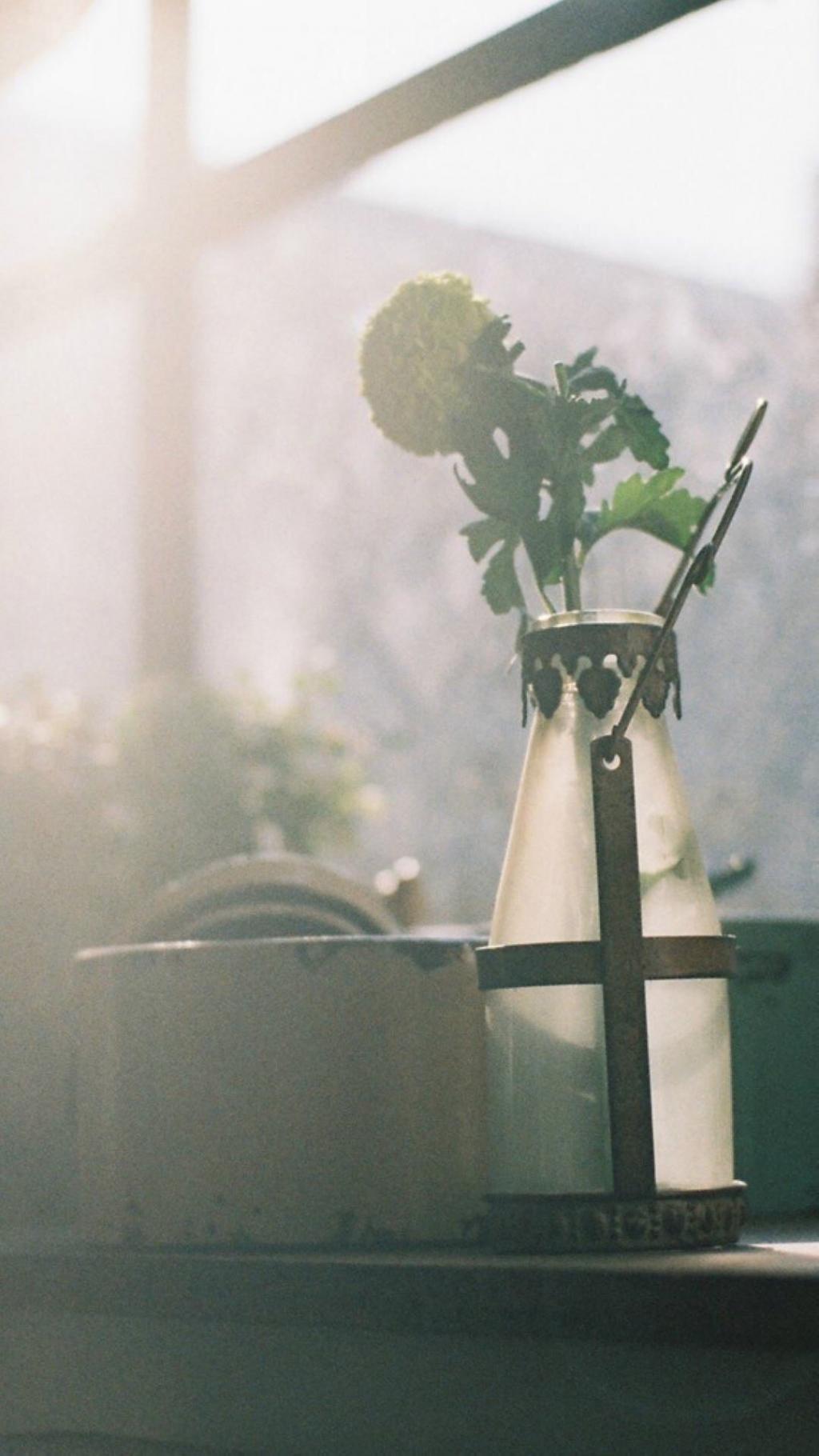 复古小清新静物盆栽