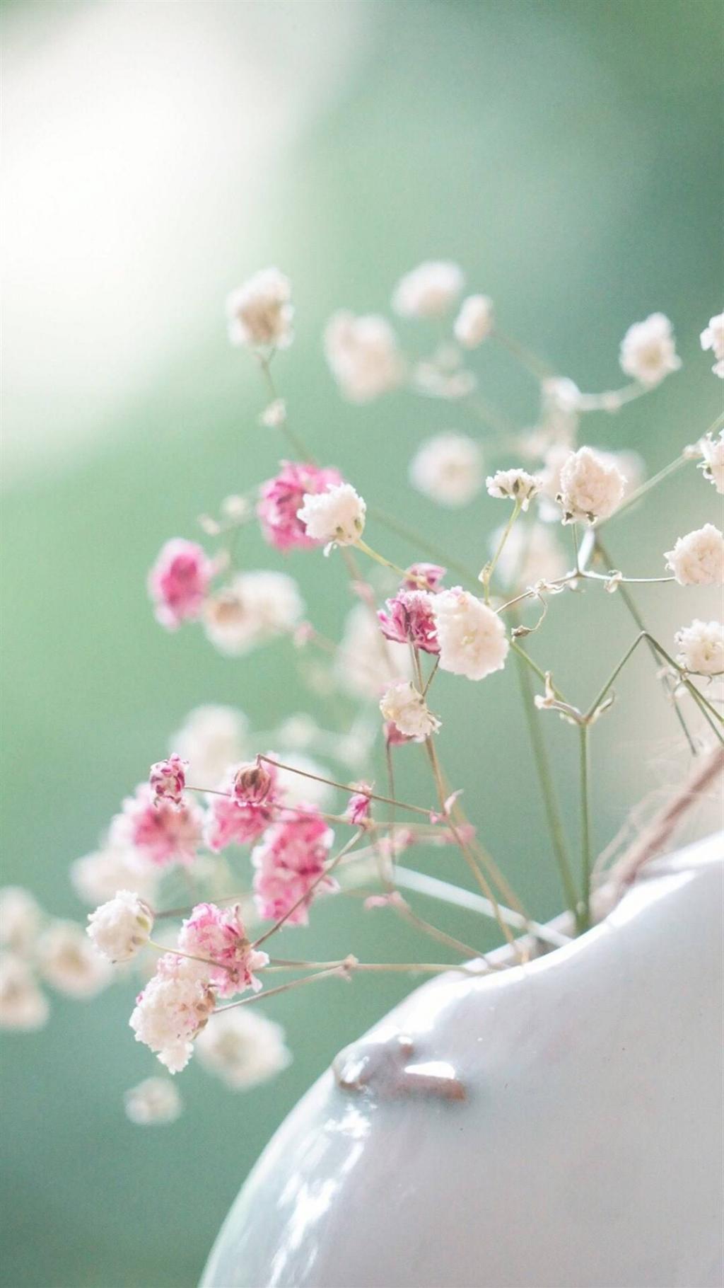 小清新静物摄影