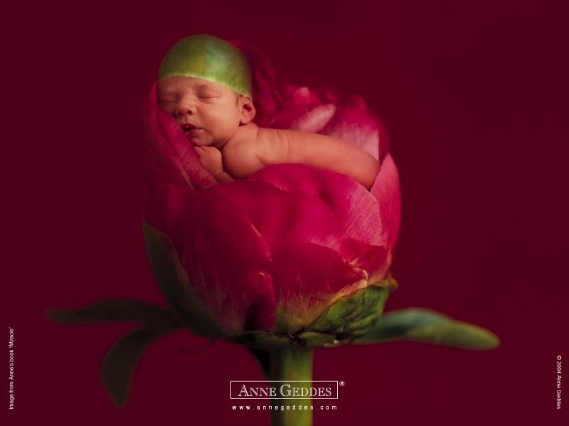 经典创意宝贝设计