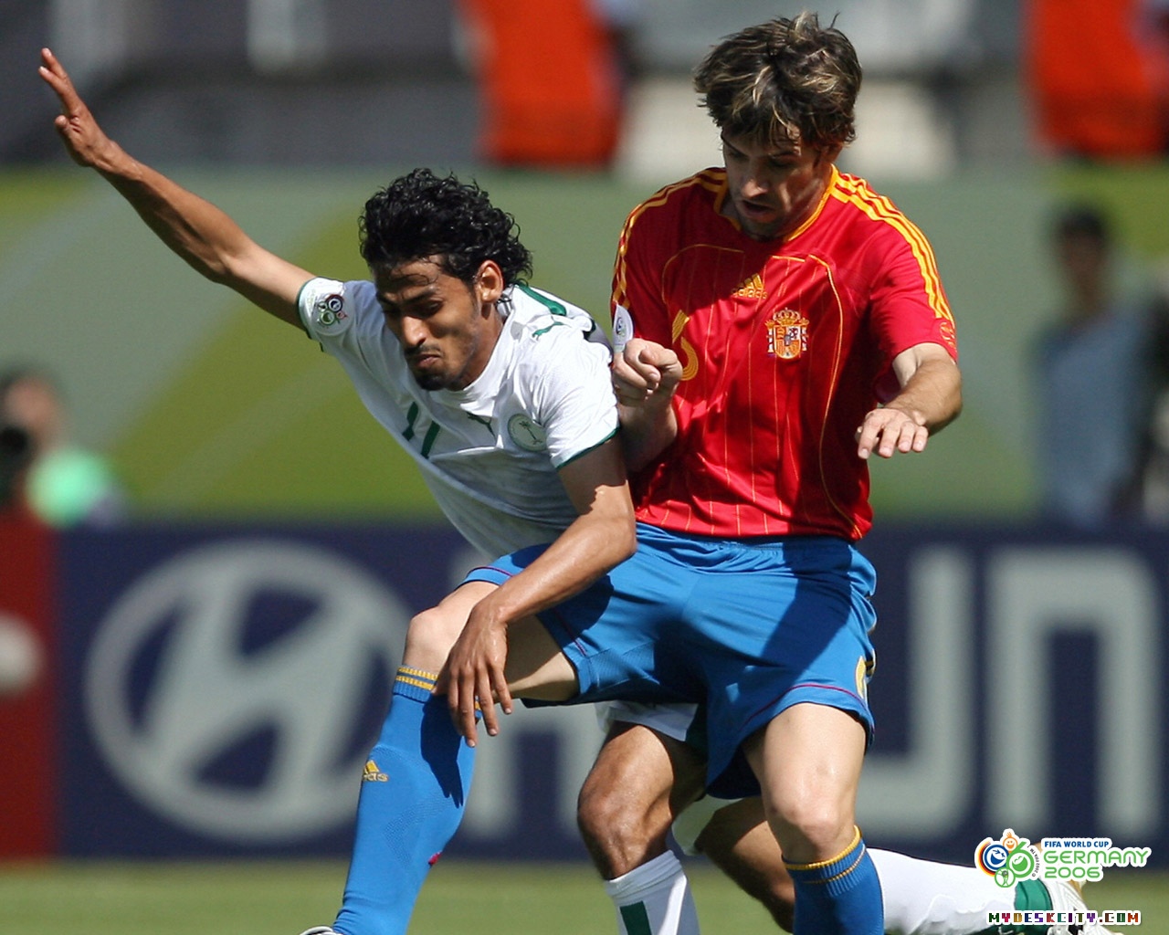 06世界杯第七辑写真,足球世界,体育,足球,比赛,高清壁纸,桌面图片