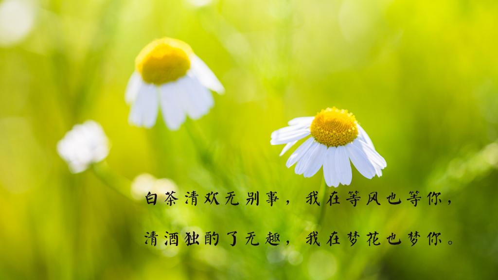 温暖人心的治愈说说图片