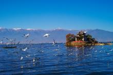 在大理风花雪月