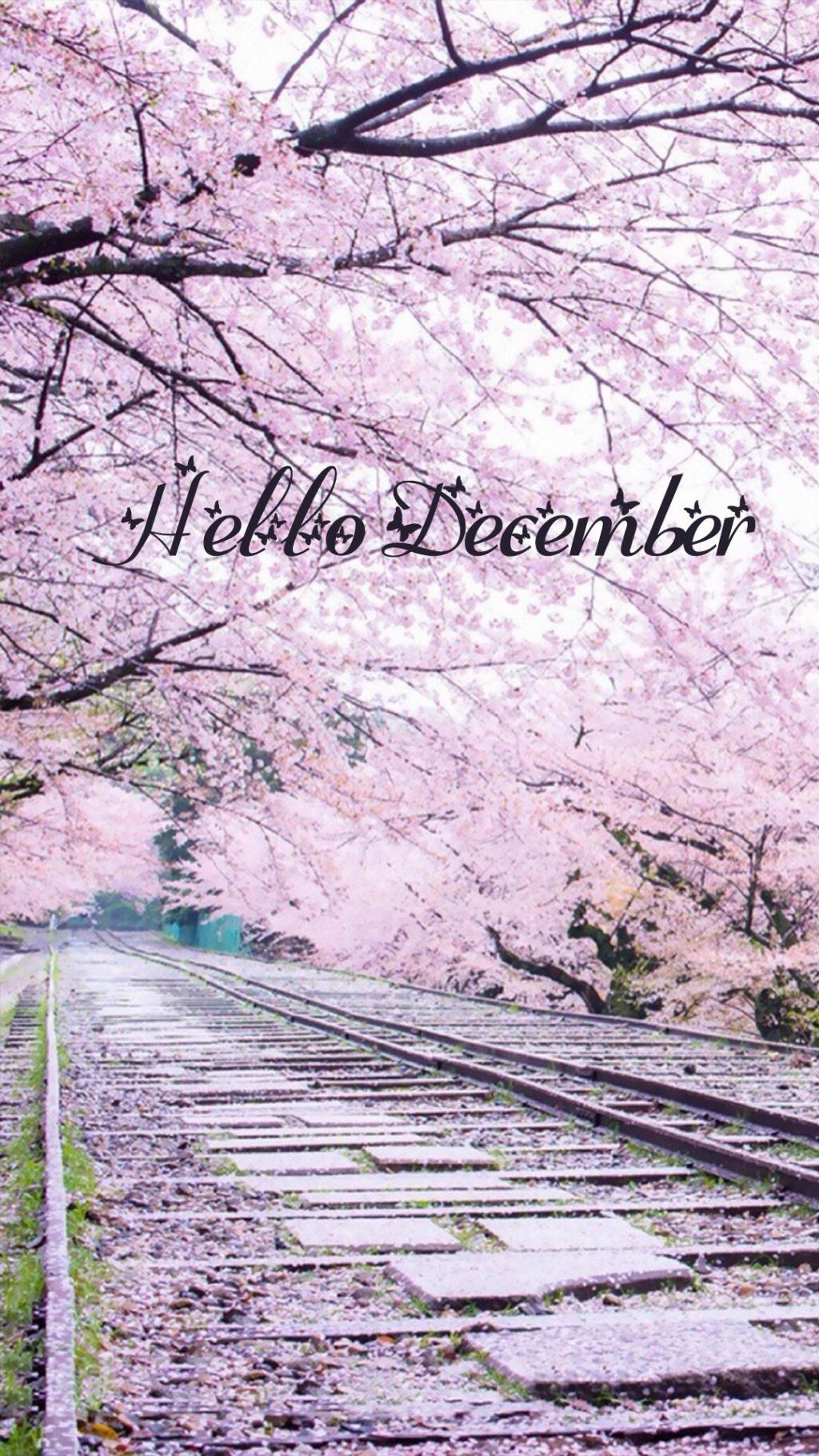 你好十二月小清新创意写真