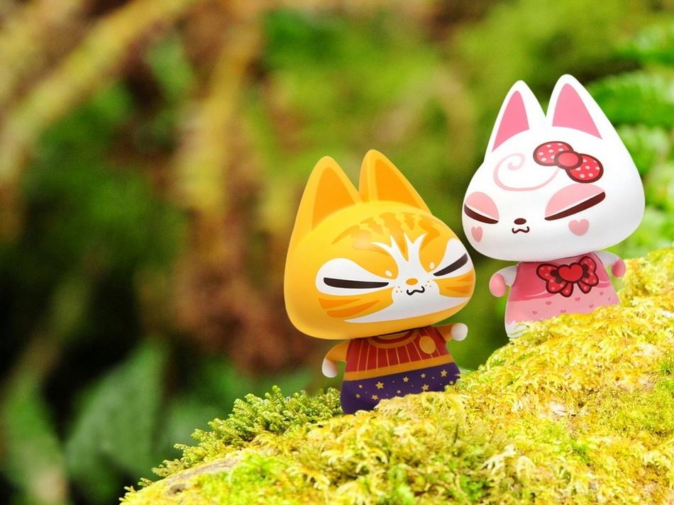 可爱呆萌的拽猫