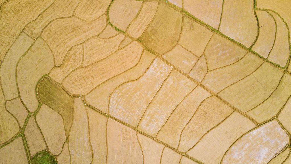 航拍田野清新护眼风景