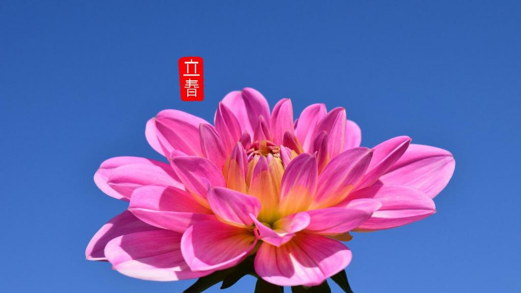 最美的24节气立春,高清图片,电脑桌面-壁纸族