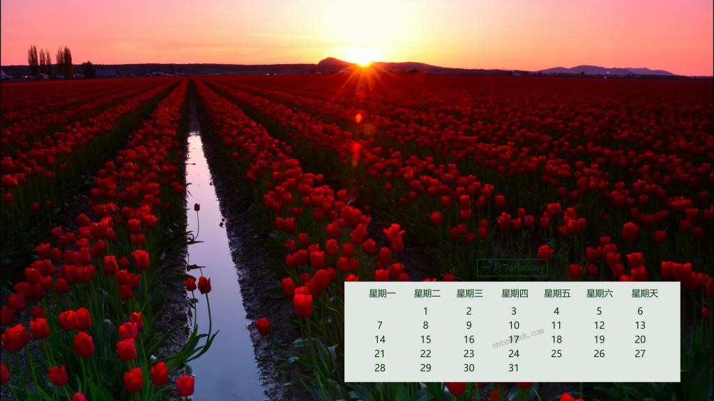 2019年1月美国旅游风光日历