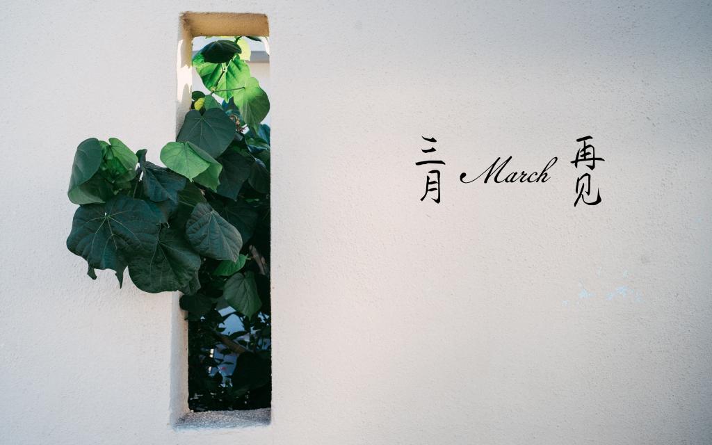 三月,明年我们再见