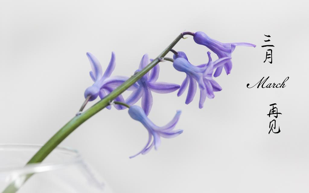 三月,明年我们再见