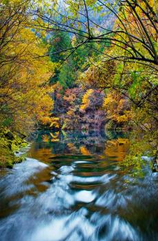 四川九寨沟唯美仙境-5