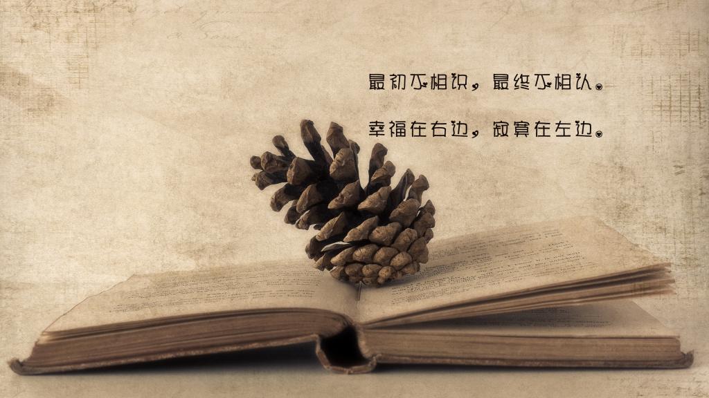 心凉了的伤感语录图片