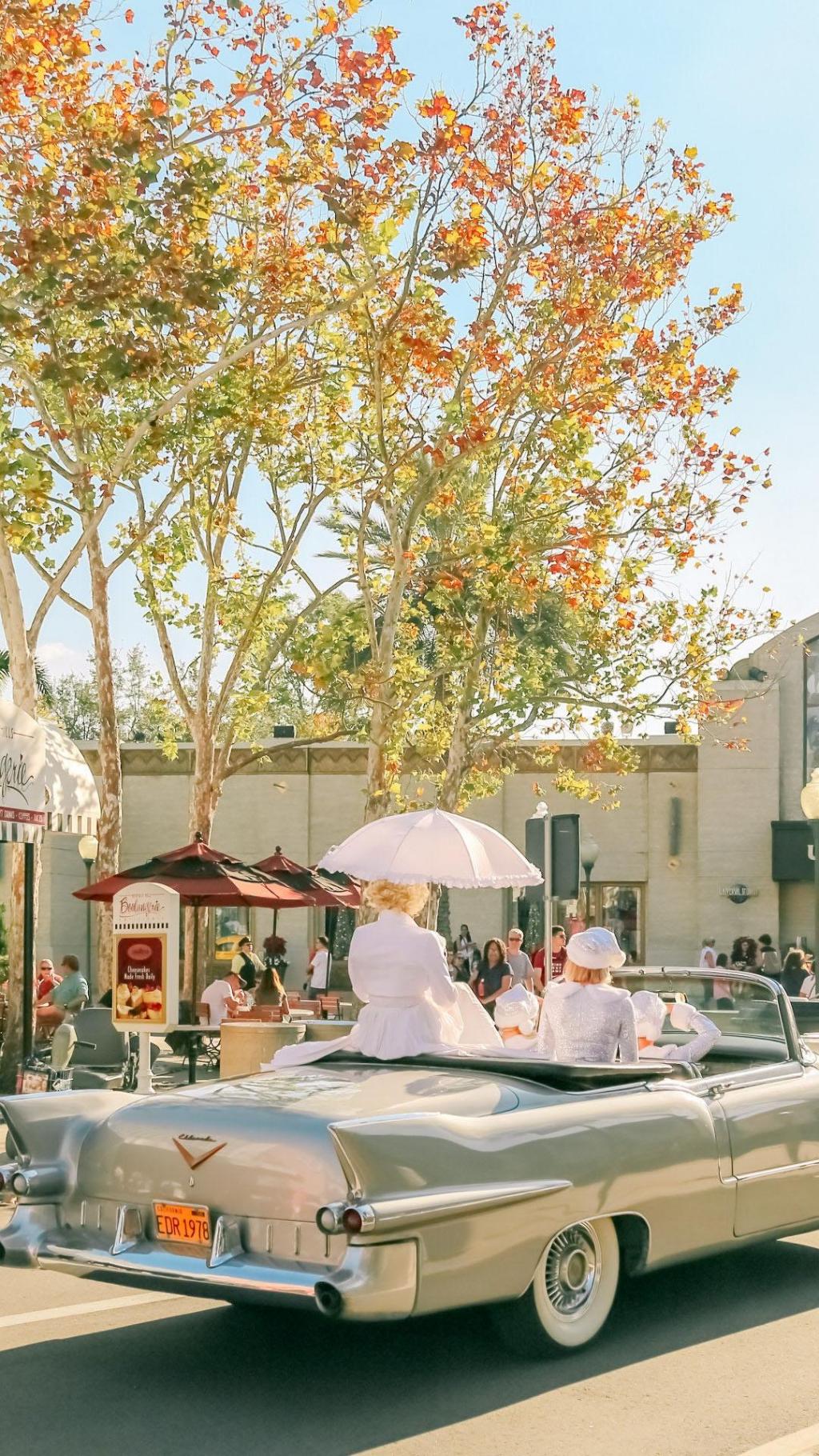 美国加州清新风景