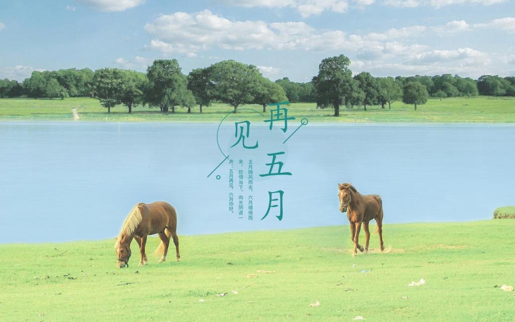 朋友圈五月再见小清新唯美自然风光