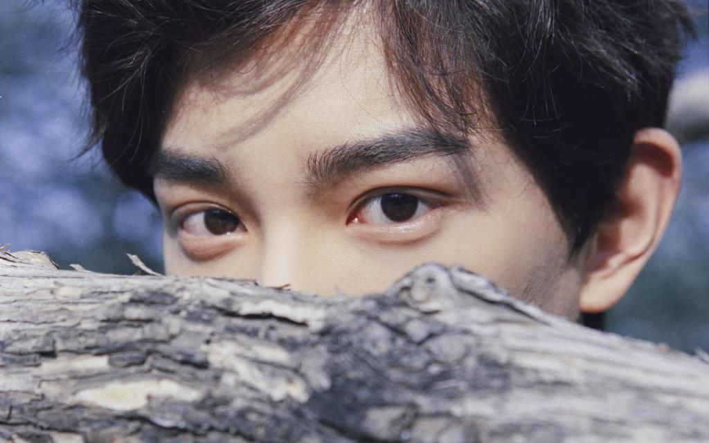 追风少年丁禹兮休闲运动装帅气写真